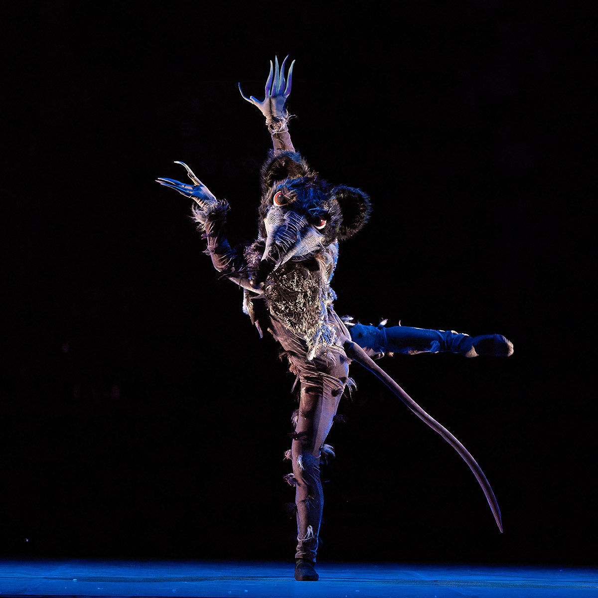 sevenvenues's tweet photo. Make your holiday season a little more magical. World Ballet Company’s The Nutcracker returns to the Harrison Opera House from December 21-22, bringing Tchaikovsky’s beloved classic to life with music performed by an orchestra.
🎟️ https://t.co/nXkPXIJo8z
📷 Jeff Somers https://t.co/x0rOxCICar