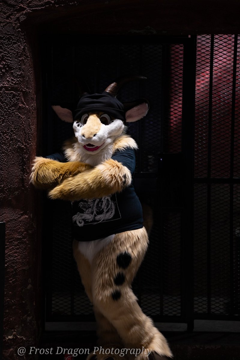 Daragreywing's tweet photo. Metalhead furs? Hell yes brother! 🤘 https://t.co/oU7jKF27WJ
