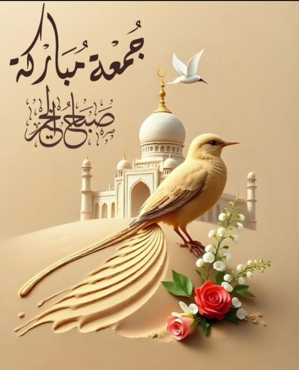 Fi6ami's tweet photo. @munasalim961 https://t.co/NL30PvTYOw