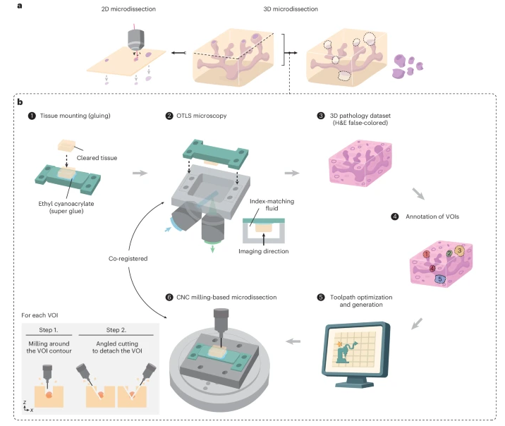 Nature Methods tweet media