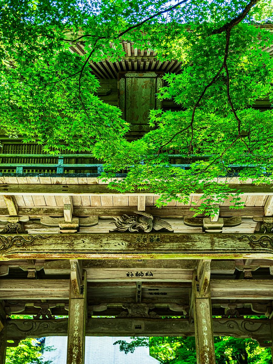 1970kenryu1970's tweet photo. flows like fire on a cold late hours — that's how we enters https://t.co/01g258kTwp
