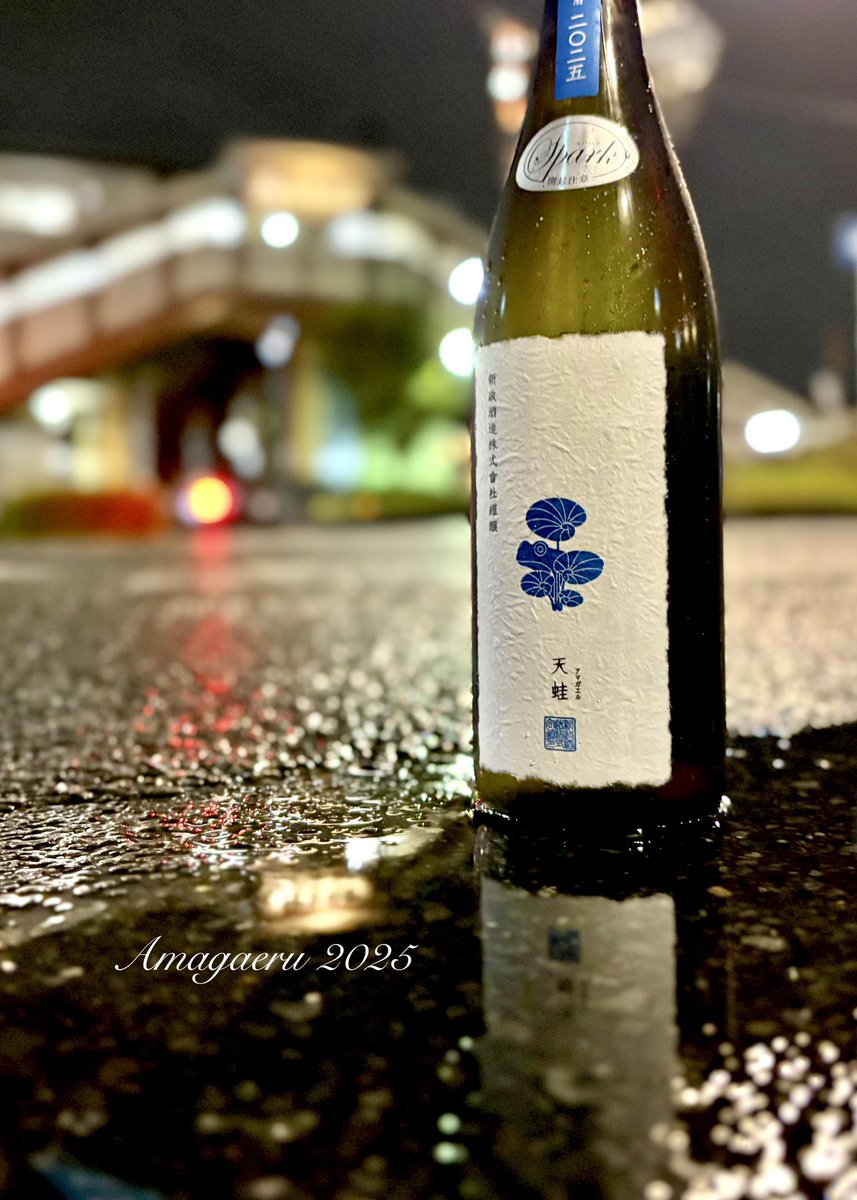 雨の降る夜は、 ひっそりとアマガエル。。 気まぐれに現れるカエル