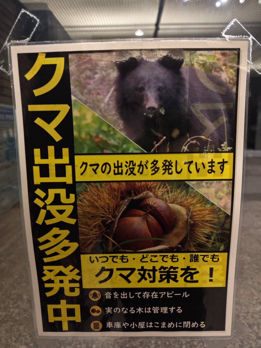 kenjisanda's tweet photo. 熊との共存は無理だと思う派です… https://t.co/DPT4bfndgI