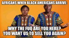 JimmyGorma61792's tweet photo. @AmericaPapaBear https://t.co/uEslzkH0zp