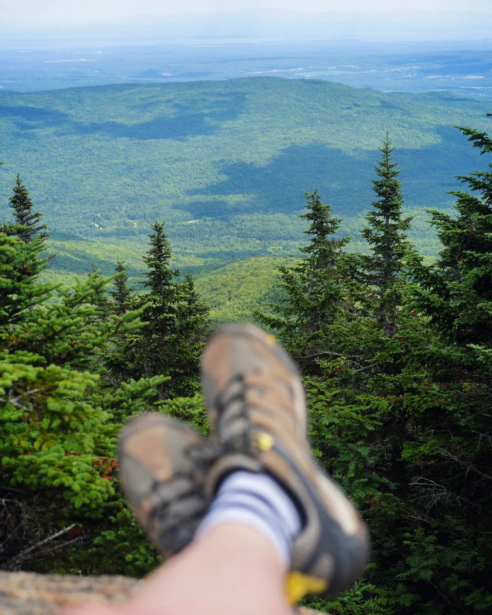 VisitAdks's tweet photo. Pups + Mountains = the perfect summer adventure. What's your go-to hiking spot?

📍 Lyon Mountain, New York @newyorkupstate 
📷  @camgrandebrune https://t.co/QLRP5PvU4p