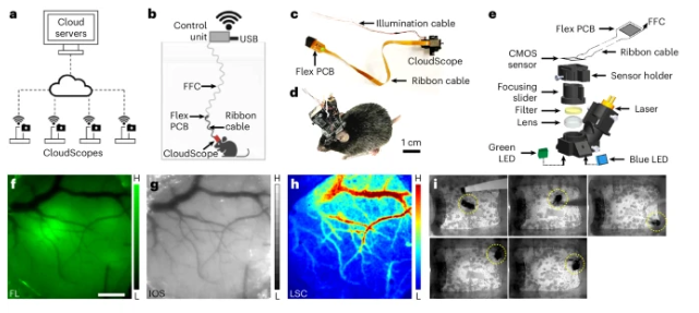 Nature Methods tweet media