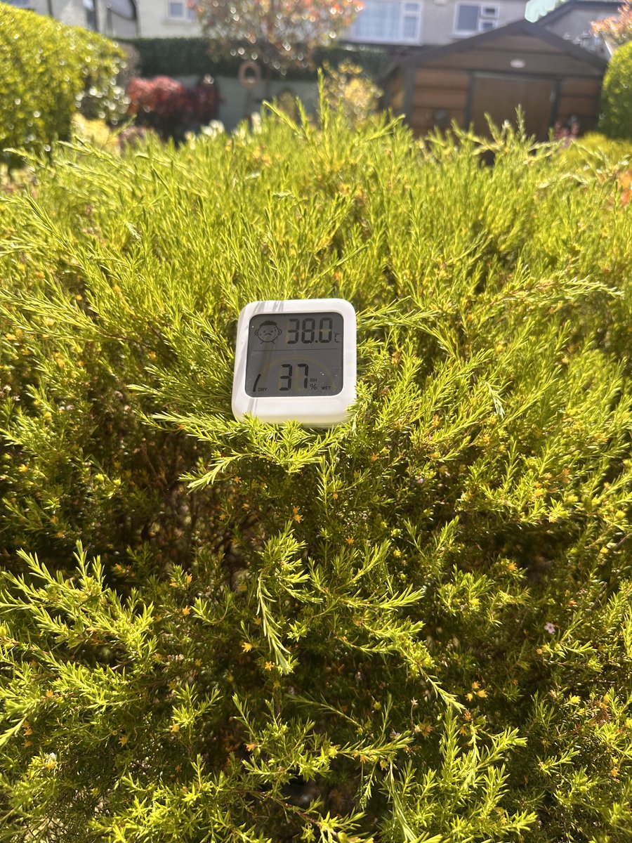 cullinank's tweet photo. Unofficial 38 degrees in Knocklyon today 😎😎 https://t.co/HvbiuksCN5