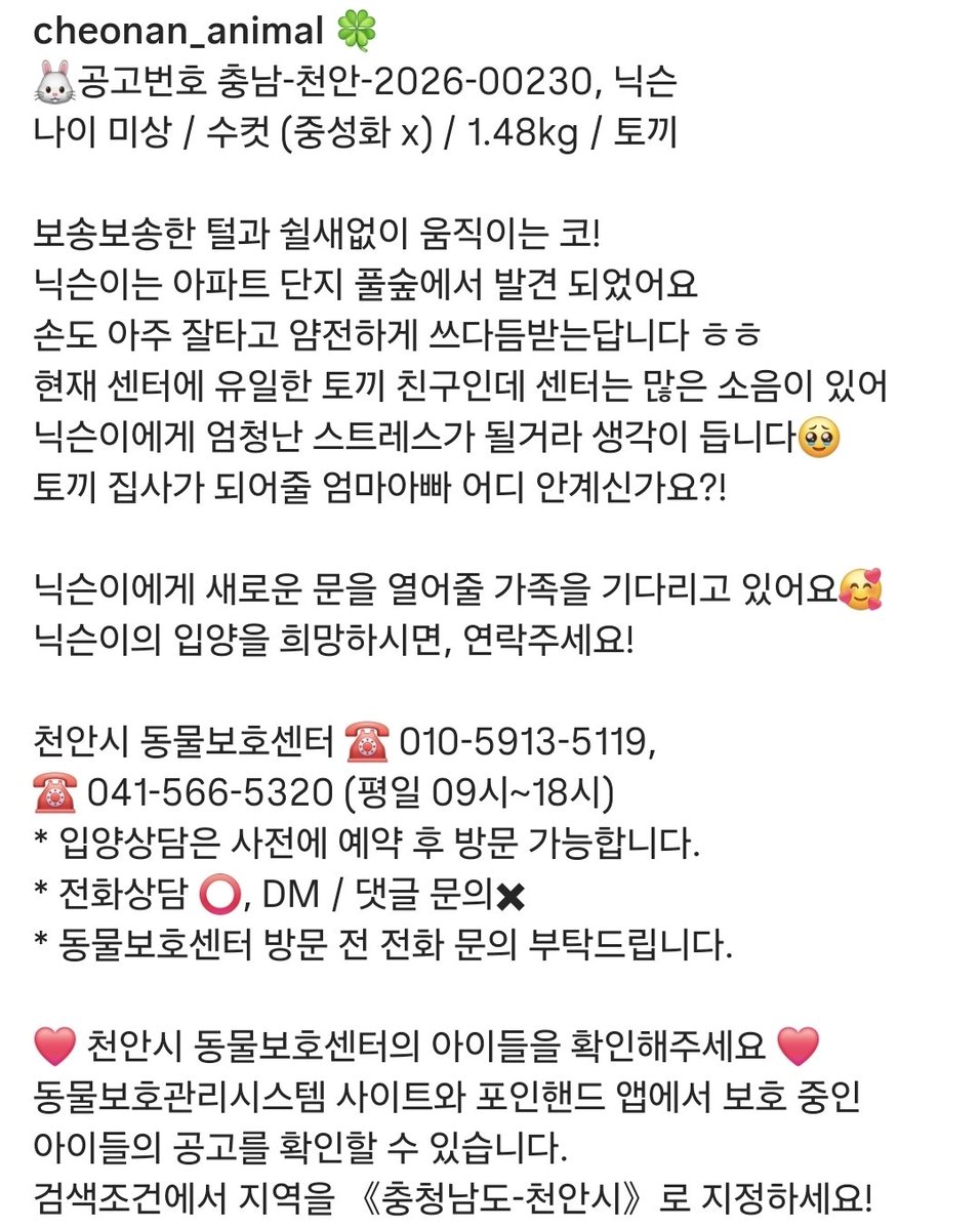 tokkiluv3637's tweet photo. 천안시 동물보호센터에 입소한 토끼가 가족을 찾고 있어요.
무늬가 너무너무 예뻐요🖤🤍
현재 센터에 유일한 토끼인데, 다른 동물들이 내는 소음에 예민해서 빨리 좋은 가족을 만나면 좋겠어요 🥲🥲
출처 : https://t.co/nAId82KCFE https://t.co/OuLEfMSHXW
