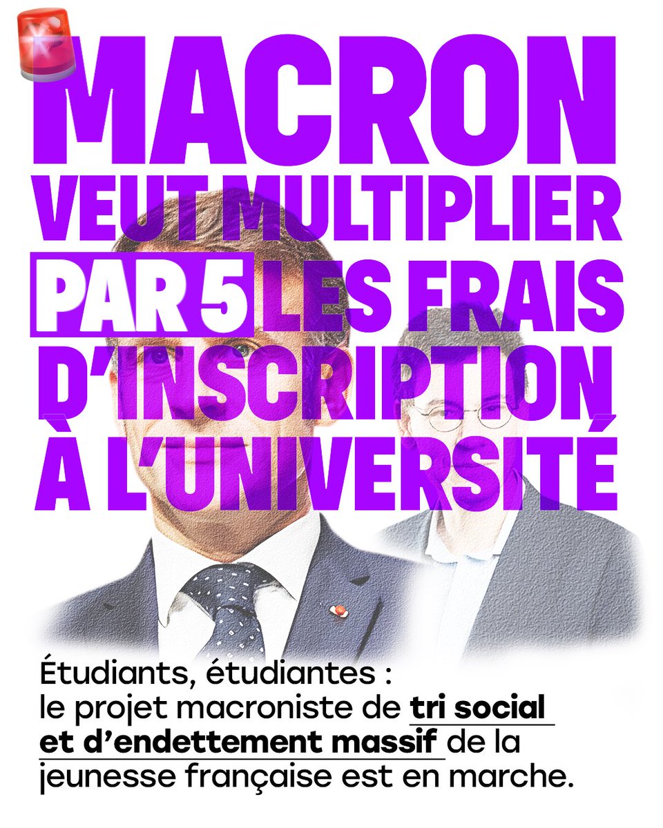 Marie Mesmeur tweet media