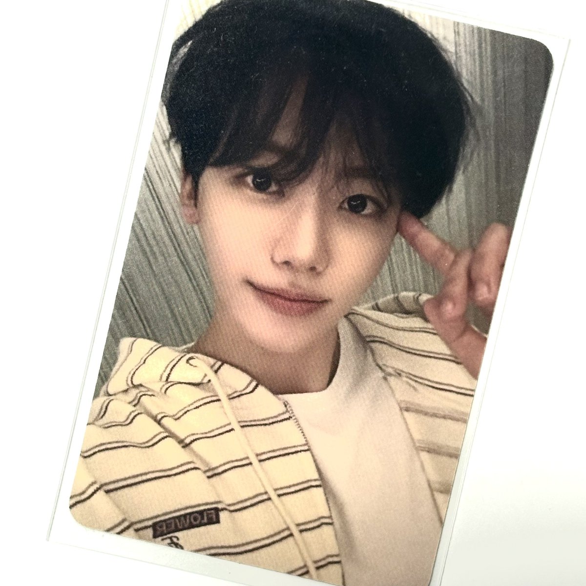 myul42's tweet photo. 실물이 너무 초커욤햄토리잼이야ꔛꕤ https://t.co/gxpmHS4Ksx