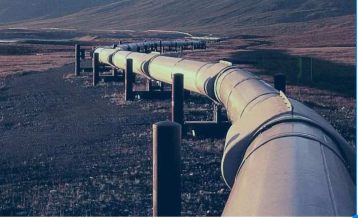 RICALFONSIN's tweet photo. ¿Recuerdan las barbaridades q la derecha decía cuando el gobierno anterior encaró la construcción del Gasoducto Perito Moreno (ex N. Kirchner)? Resulta que, gracias a esa obra, desde mediados de 2023 hasta la fecha nos hemos ahorrado 9.100 millones de dólares en energía (más de 4 veces lo que costó la obra).
No espero q la derecha diga nada, pero sí q la ciudadanía recuerde cómo intentaron confundirla; y seguro en muchos casos lo lograron.