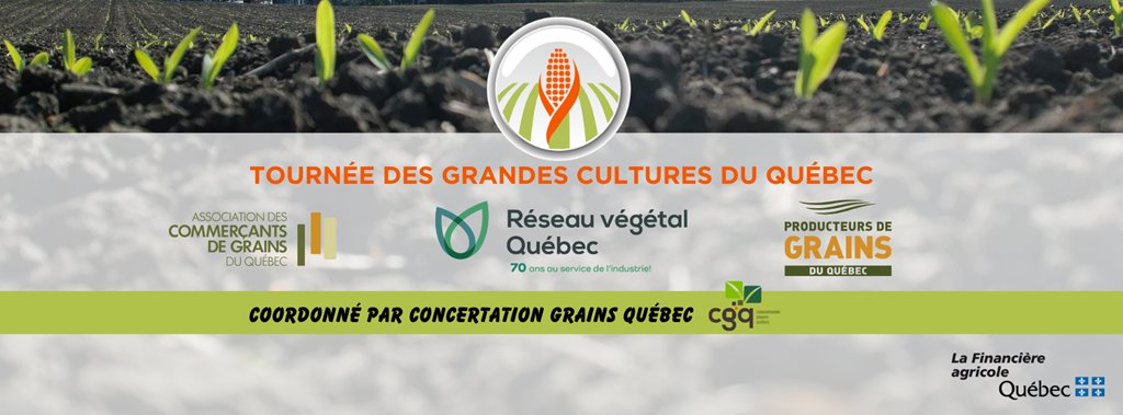 Grainwiz's tweet photo. État des cultures du 26 juin: la pluie dicte le rythme: La pluie crée des inégalités dans le champs 
et entre les régions! 

L'eau avait la possibilité d'appuyer le potentiel des cultures ou de les mettre à l'épreuve... et c'est ce qui s'est passé selon… https://t.co/wqogqVCV1u https://t.co/cBK10Rtzgt