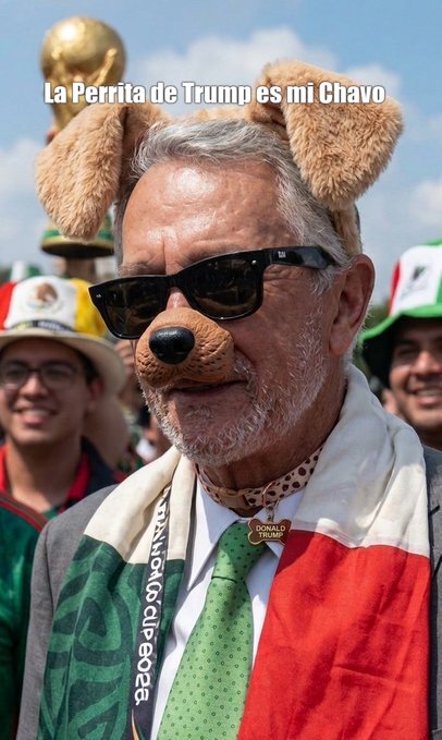 RAFAGA301's tweet photo. #HomeOffice 
Bandita: ¿Saben dónde puede registrar a #LaPerritaDeTrump como "Mi Chavo"? No quiero que la FIFA me lo vaya a ganar. #LaPerritaDeTromp es mi chavo. https://t.co/j6uAhWAnzt