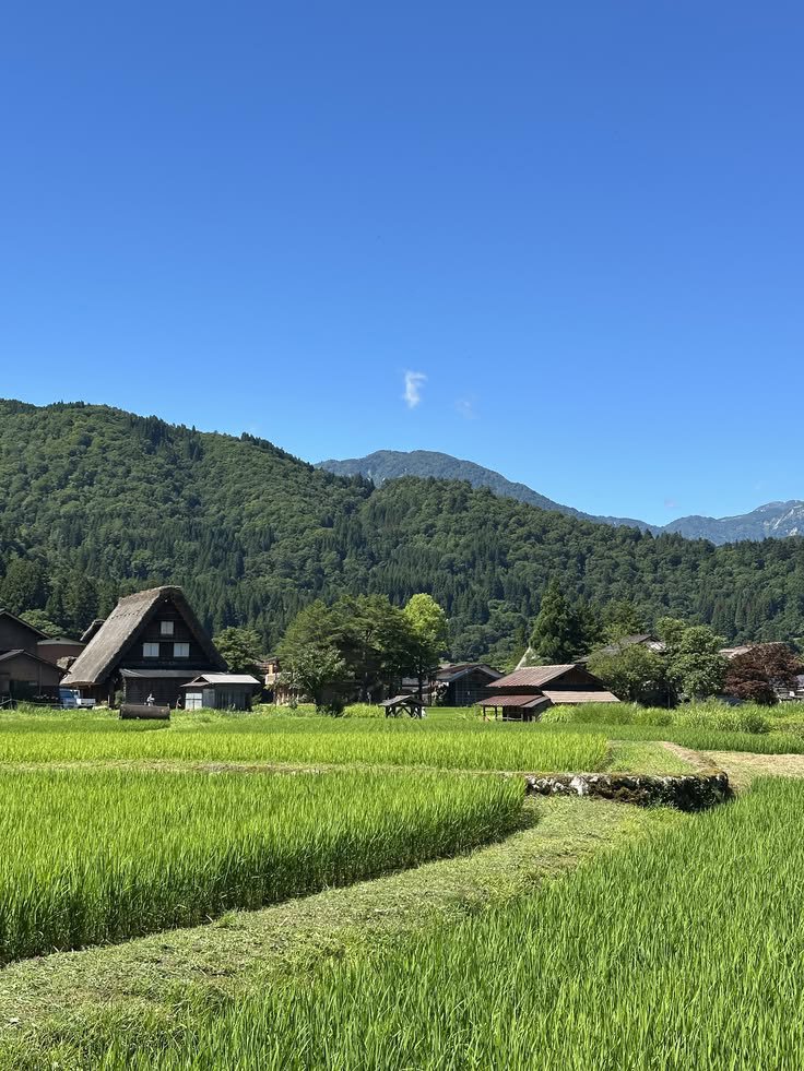 oceanweavee's tweet photo. Japan countryside https://t.co/FhrIsCZzbM