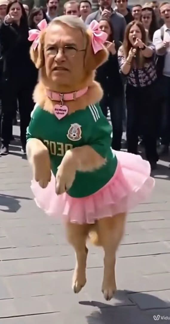 melon92512's tweet photo. #DientesDeBurro naaaaah suena mejor y me gusta más #LaPerritaDeTrump jajajajajajajajaaja https://t.co/krvGrq237u