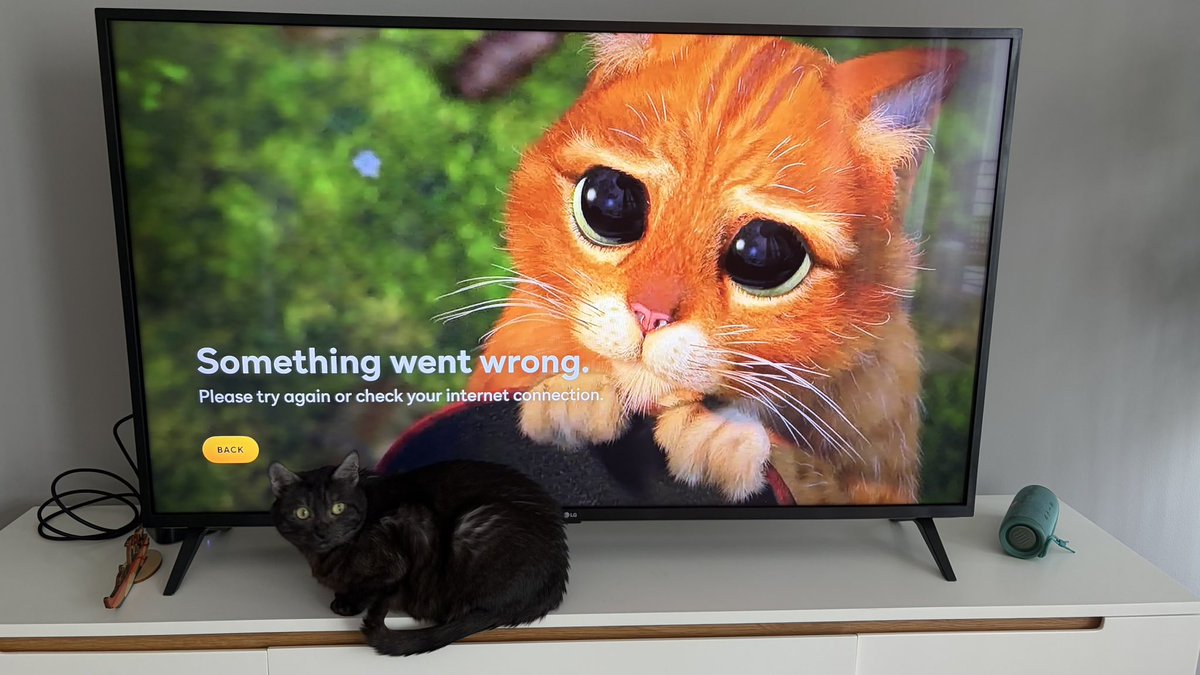 hasantkose's tweet photo. @peacock can’t watch France vs Norway game #worldcup https://t.co/WSS5S8itqh