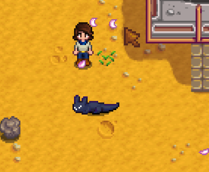 RADorNOTRAD's tweet photo. nightcat is adjusting well to the farmlife https://t.co/3QuksAsUpN
