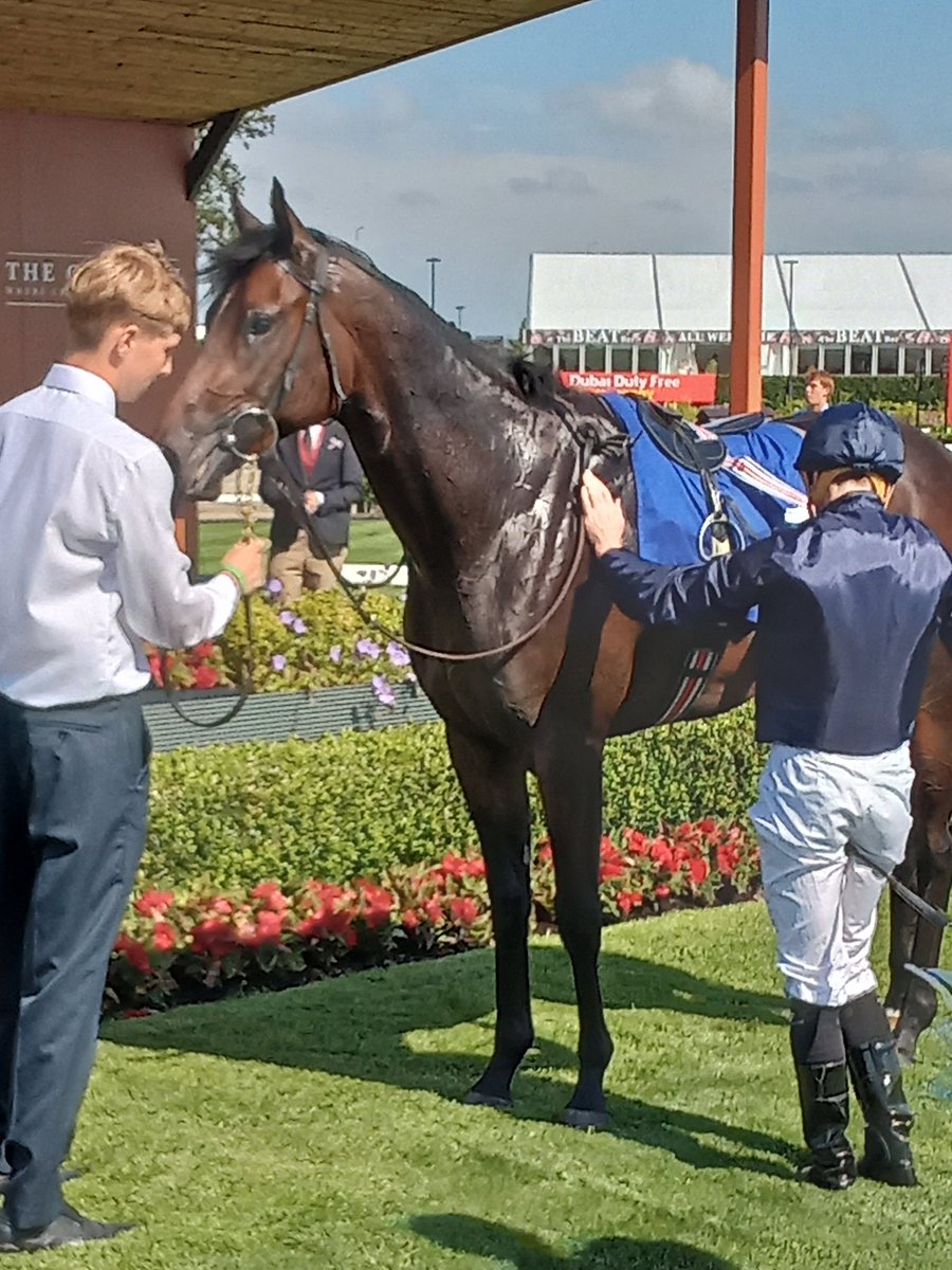 JoeSeward1's tweet photo. He was easy to back  7/4in the ring  and 2.9 BETFAIR SP  while the Industry SP 11/8 
ABRAHAM LINCOLN looked a picture &amp; you could see why he cost €2.3million. He looked like he'd come on considerably for tonight's outing and 7 furlongs will suit him even more .
#Curragh https://t.co/smWrciXDJK