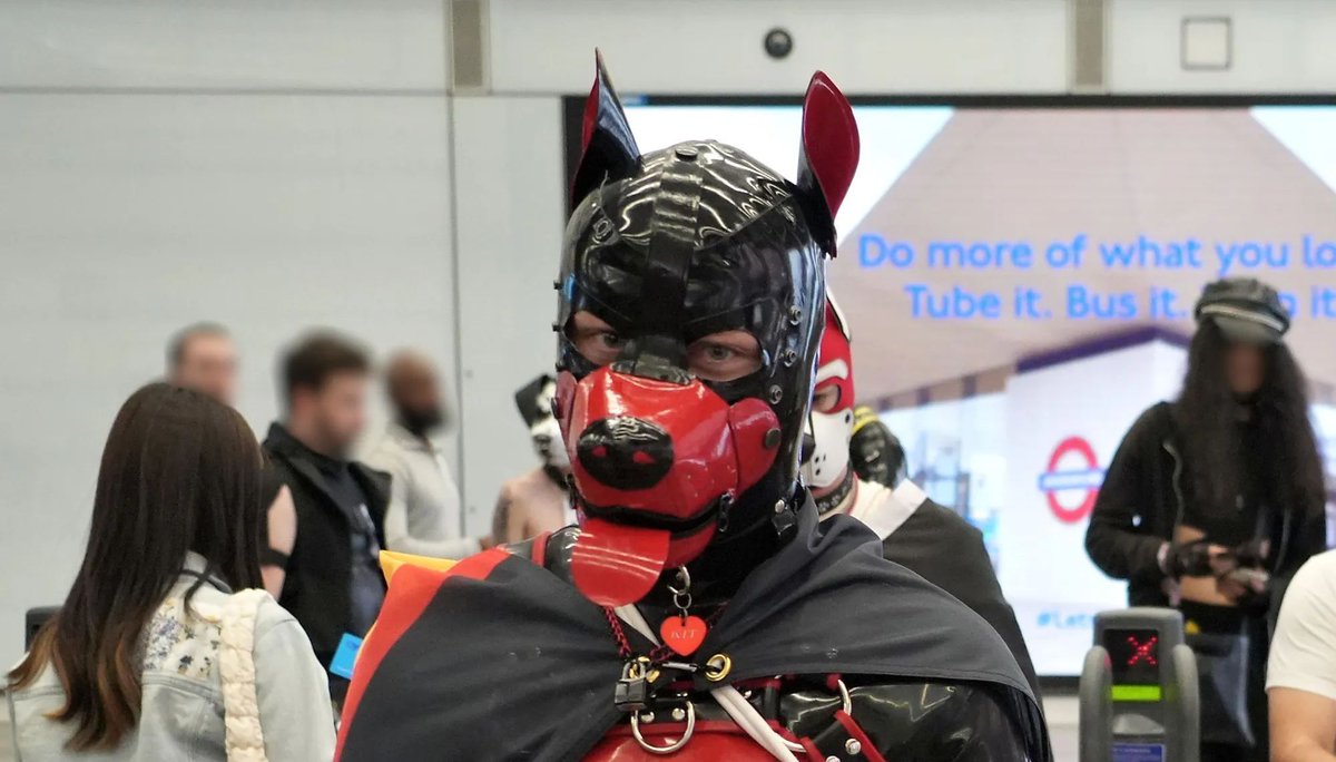 pupcake_uk's tweet photo. Pup on the underground! https://t.co/7kFZOckc5E