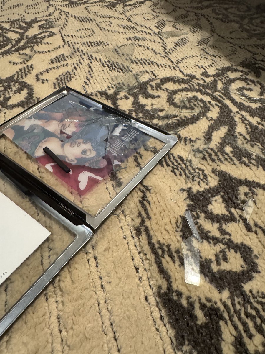 meg_tv's tweet photo. 震度5だったらしい
咄嗟に子犬を守らなきゃ！！って使命感で必死になってだーいじょうぶよ〜♡大丈夫だからね〜♡って猫撫で声であやしてたら、犬の方が気を遣って元気なふりして慰めてくれた

ちょっとしたら尻尾脚に挟んでた
怖かったよね
それでも私を励まそうとしてくれてありがと🥲 https://t.co/TrYcvZLw5K