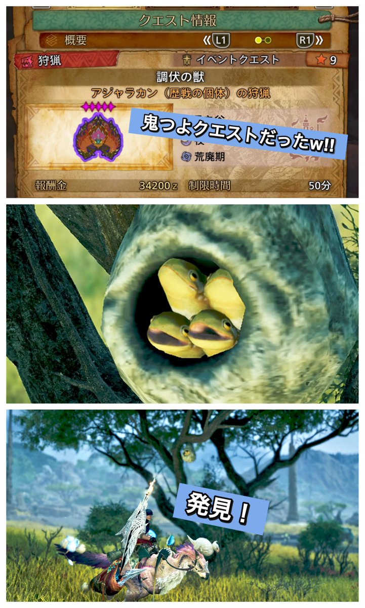 ken2525games's tweet photo. ★MHWilds
😱ともひこさん
🐧Thanks！マルチプレイ！
とても楽しいひと時でした( ˊ꒳ˋ,,)✨
ナイスピザカッター✧

意外や意外！イベクエ★9モンスターは鬼つよでしたねw(  ´ཀ` )ｱｼﾞｬﾗつえぇ

報酬もガッツリありがとうございました！ https://t.co/5WjSdrZpgp