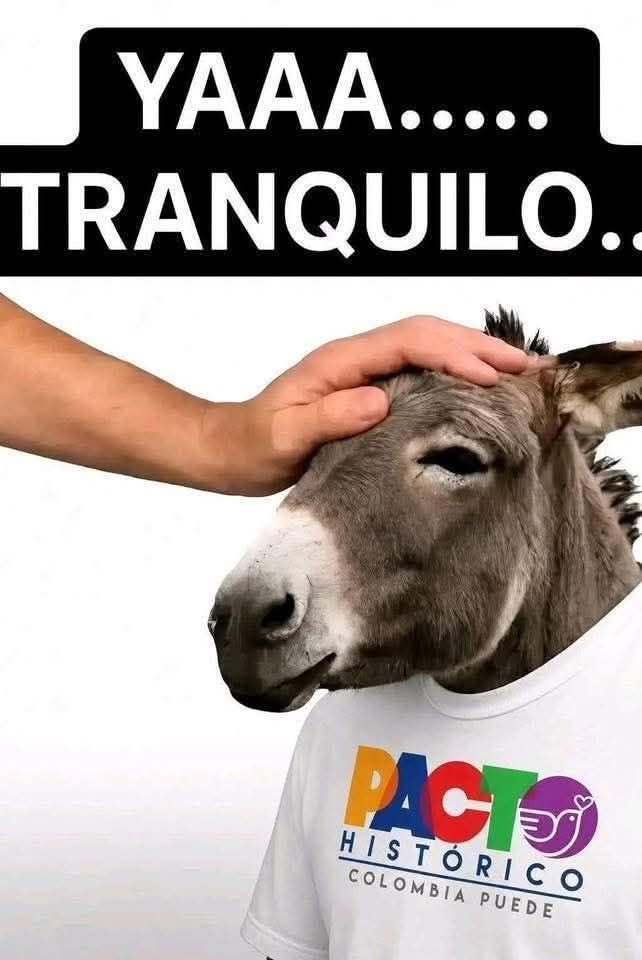 HENRYARIAS1812's tweet photo. @juliomario55555 https://t.co/BqDSGP5tF5
