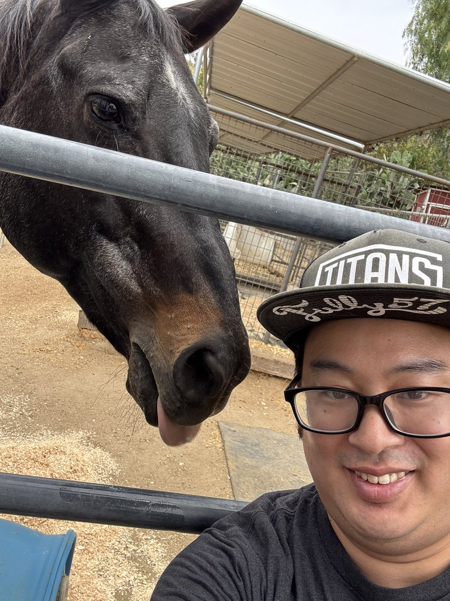 joekami5's tweet photo. @KrisUmasimp I became an equestrian https://t.co/R2tmn4LxQQ