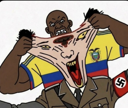 elsenorpolaco's tweet photo. Mój ulubiony mem z wczorajszego meczu
(potomkowie hitlerowców) vs Ekwador!

Kocham 🥰😝😜 https://t.co/2zbBOzWXlI
