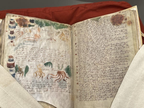 katty_pulsar's tweet photo. The Voynich Manuscript is one of history's greatest unsolved mysteries. Carbon-dated to between 1404 and 1438, this 15th-century illustrated codex contains more than 200 vellum pages filled with an unknown writing system that has never been successfully deciphered. https://t.co/Z9cXaQr0N9
