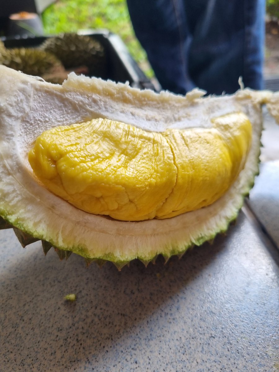 eira_ali's tweet photo. Kenduri durian dekat ofis. Itupun dok tahan diri dari belasah betul-betul. Fikir next week ada check up je. 😅 https://t.co/jX2E7zb1ot