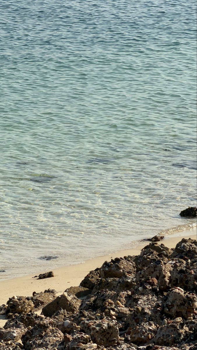 Rauosh77's tweet photo. 🌊🐚 https://t.co/uP9GbwW6jT