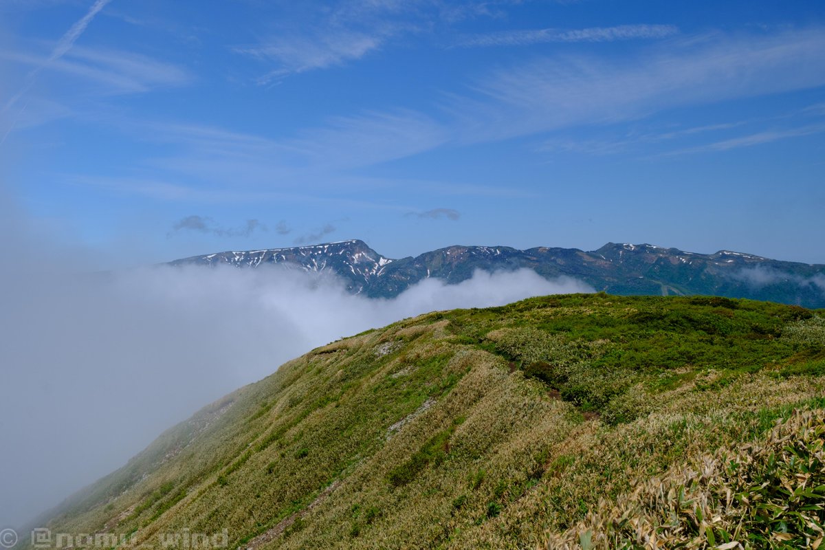 nomu_wind's tweet photo. 2026/6/5 平標山登山①
ほぼ霧と風の山行でした。高山植物が咲いてなかったら虚無だったかも。 https://t.co/pQ21SP4P2W