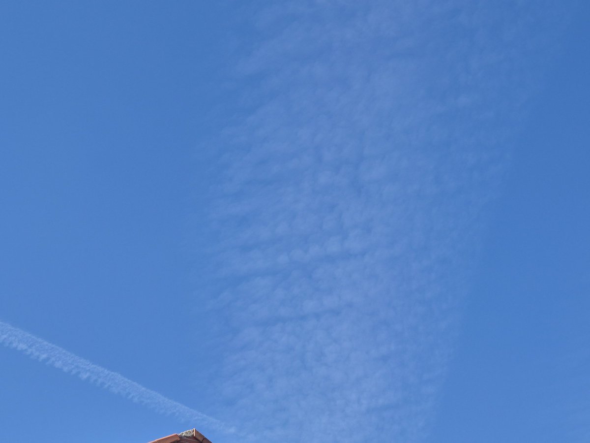 IDGlez's tweet photo. Fumigadas veraniegas. Cielos blancos.
Madrid.
@AEMET_Esp https://t.co/Qr1M9WuZbH