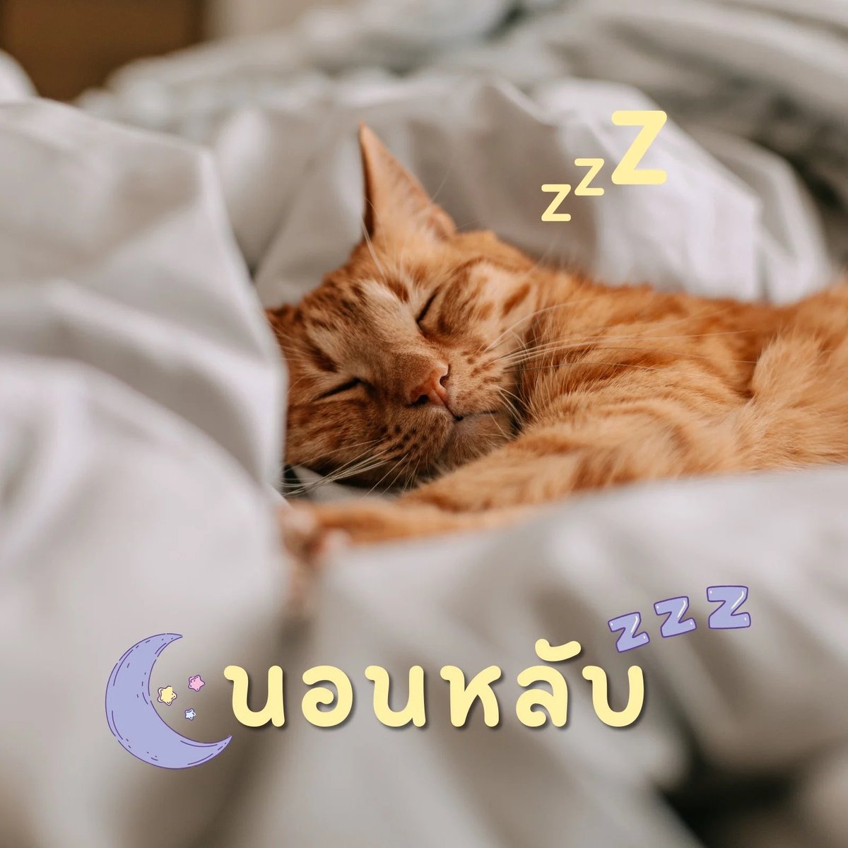 𝙅𝙅𝙆☆ tweet media