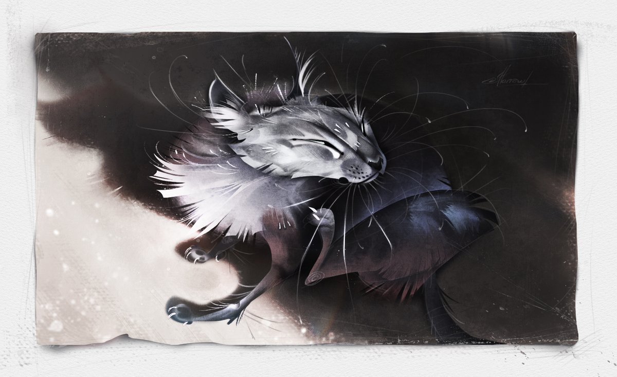 oddmarrow's tweet photo. More studies!
My purple kitten Motte https://t.co/vnSvZYd6W8