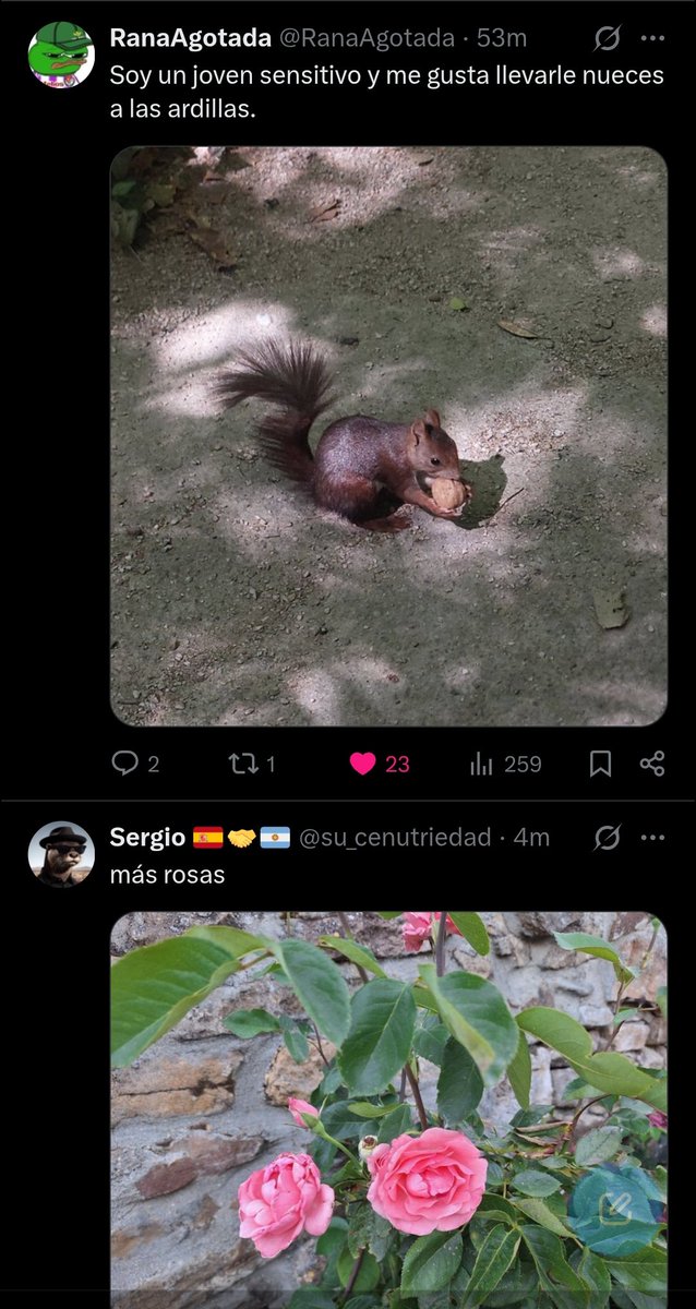 Pacifistaguay's tweet photo. Nadie:
Absolutamente nadie:

Mi TL de la peligrosa ultraderecha:
@su_cenutriedad @rana https://t.co/MRCNec0M0T