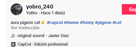 OriginalDevoor's tweet photo. I just found the tiktok of the guy that do the videos and he names pigeon cat on all his videos 

TIKTOK
https://t.co/2Lg2IFFn6q https://t.co/BVaG6VMTSm