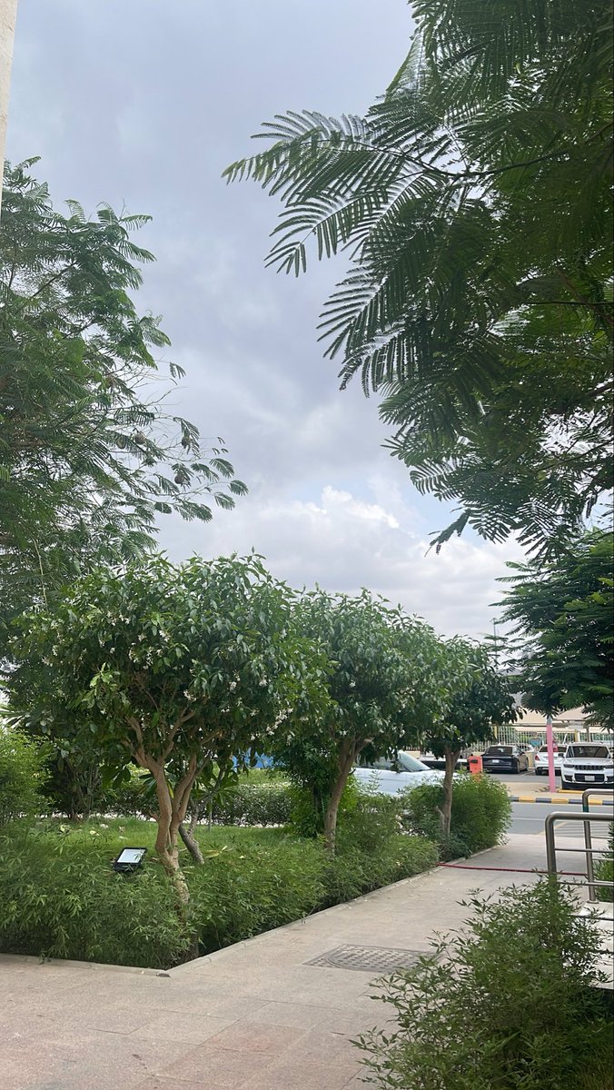 9iillt's tweet photo. الحمد لله على كل لحظه جميله في سنة الامتياز  وعلى الذكريات الجميله🤍 https://t.co/qxejBA1b1h