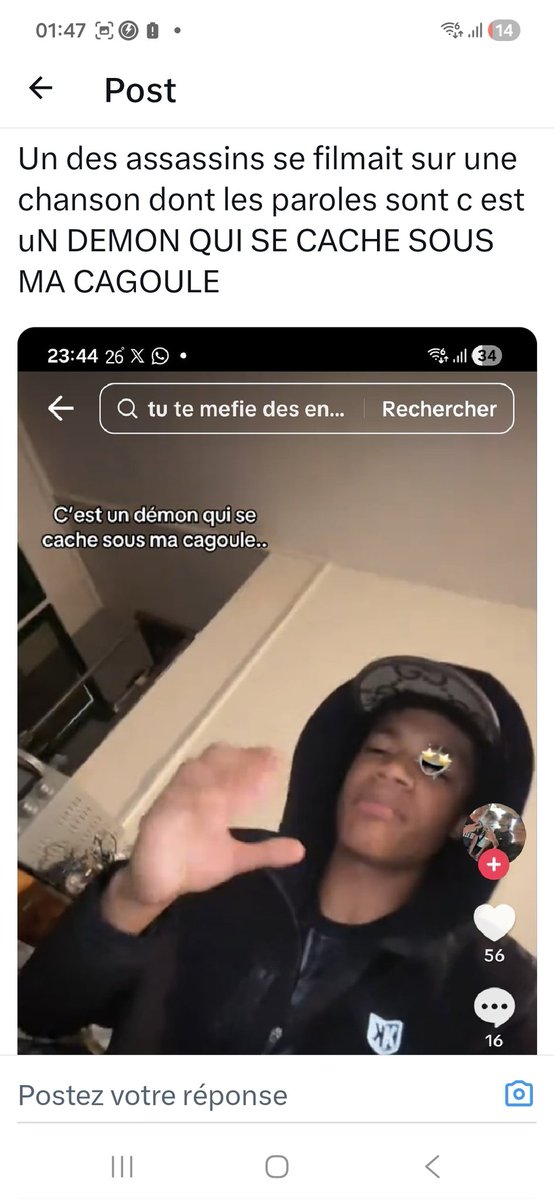 dom tweet media