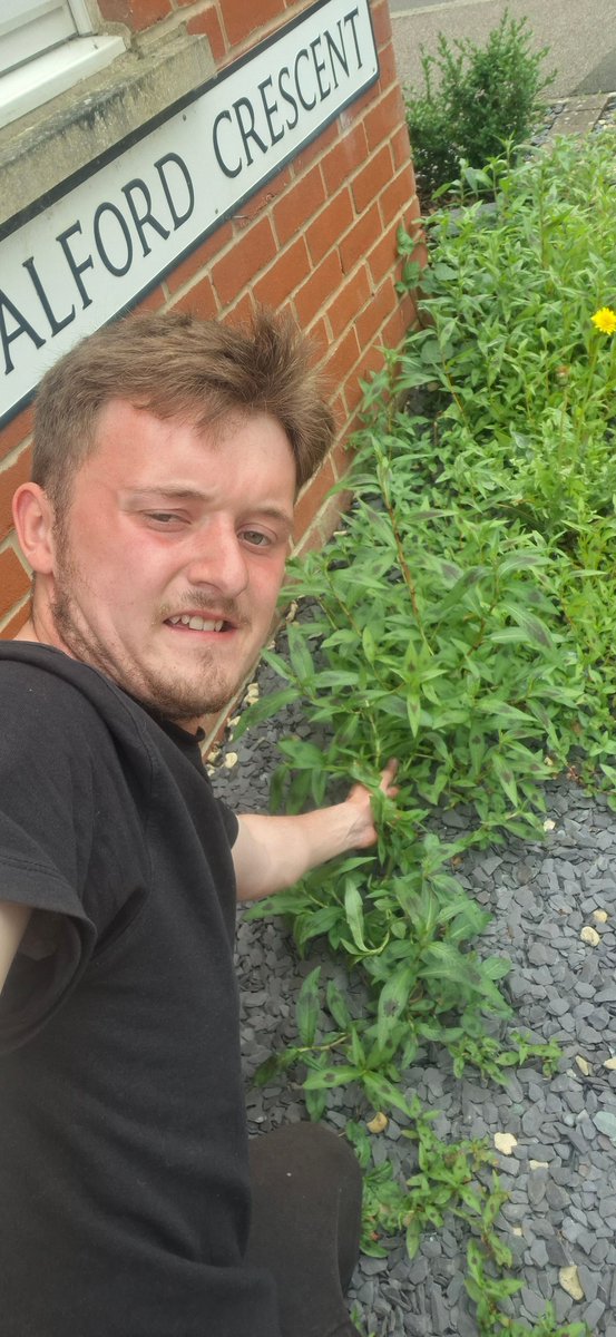 Dans_c_Group's tweet photo. Standard weeding job? Not when Dan is on the scene! 😅

​We visited a lovely resident in Buckingham Park recently to tackle a load of small weeds. But Dan got a bit distracted by a messy bin shed and ended up clearing all the litter from there, too. 🌿🗑️ https://t.co/LHPcOTLA3x