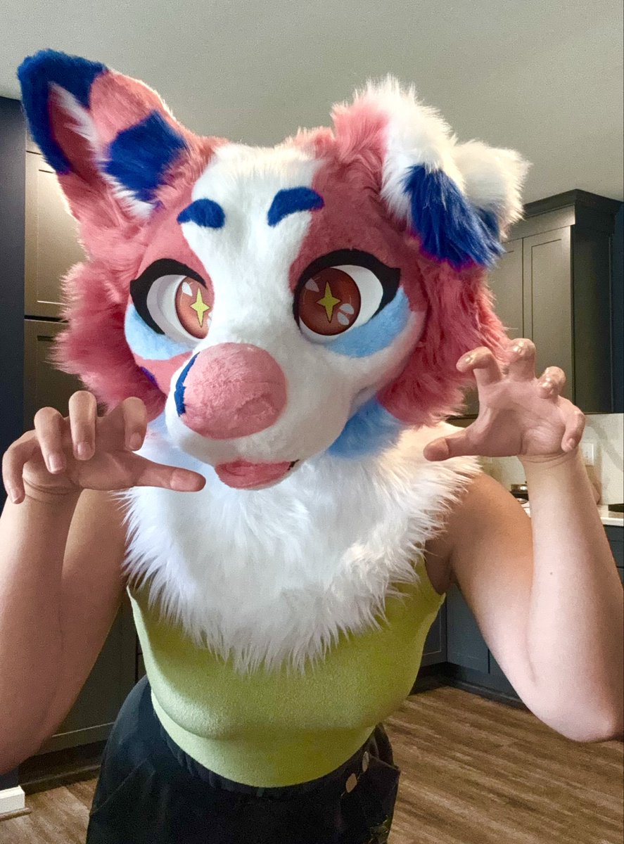 Hyrjaa's tweet photo. Reverie 2.0 is home!!! She is so cute in person and so comfortable to wear. She is fully lined and has little teeth and gums on her top jaw. Very high quality and great ventilation. I highly recommend @FILFUR2017 for any of your fursuit needs.  

#fursuit https://t.co/X3G8boUvzm