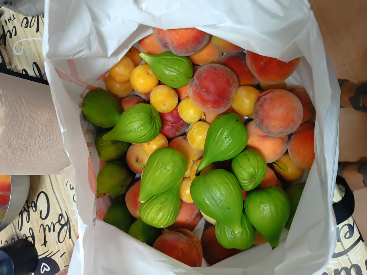 Koh9215's tweet photo. Bendita recogida de verano.

Todo esto no son más que tres arbolitos y dejando algo de fruta en el árbol. https://t.co/gkl5RDQtON