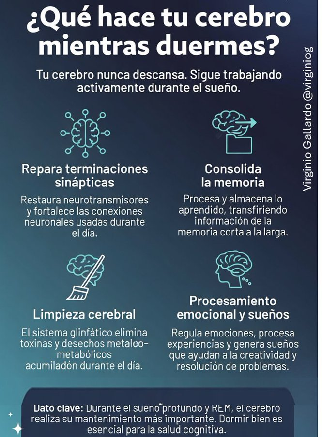 virginiog's tweet photo. El sueño no es "perder tiempo". Es una inversión de alto rendimiento
Un buen descanso nocturno mejora:
→ Consolidación de lo aprendido (aprendizaje profundo)
→ Claridad mental y toma de decisiones
→ Regulación emocional en el trabajo
→ Creatividad y resolución de problemas https://t.co/f8NftBfmGU