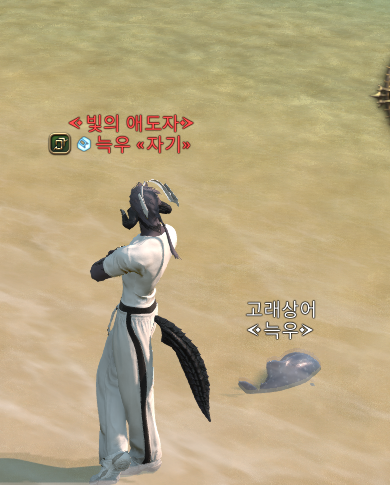 rltk_FF1's tweet photo. 근처에 물이 있으면 고래상어가 물속에 들어간다는 걸 처음 앎;; https://t.co/XsrCqo7c8b