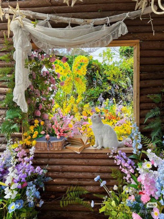 Pure_naturess's tweet photo. this is what a home should feel like. https://t.co/7f0rQnHv4k