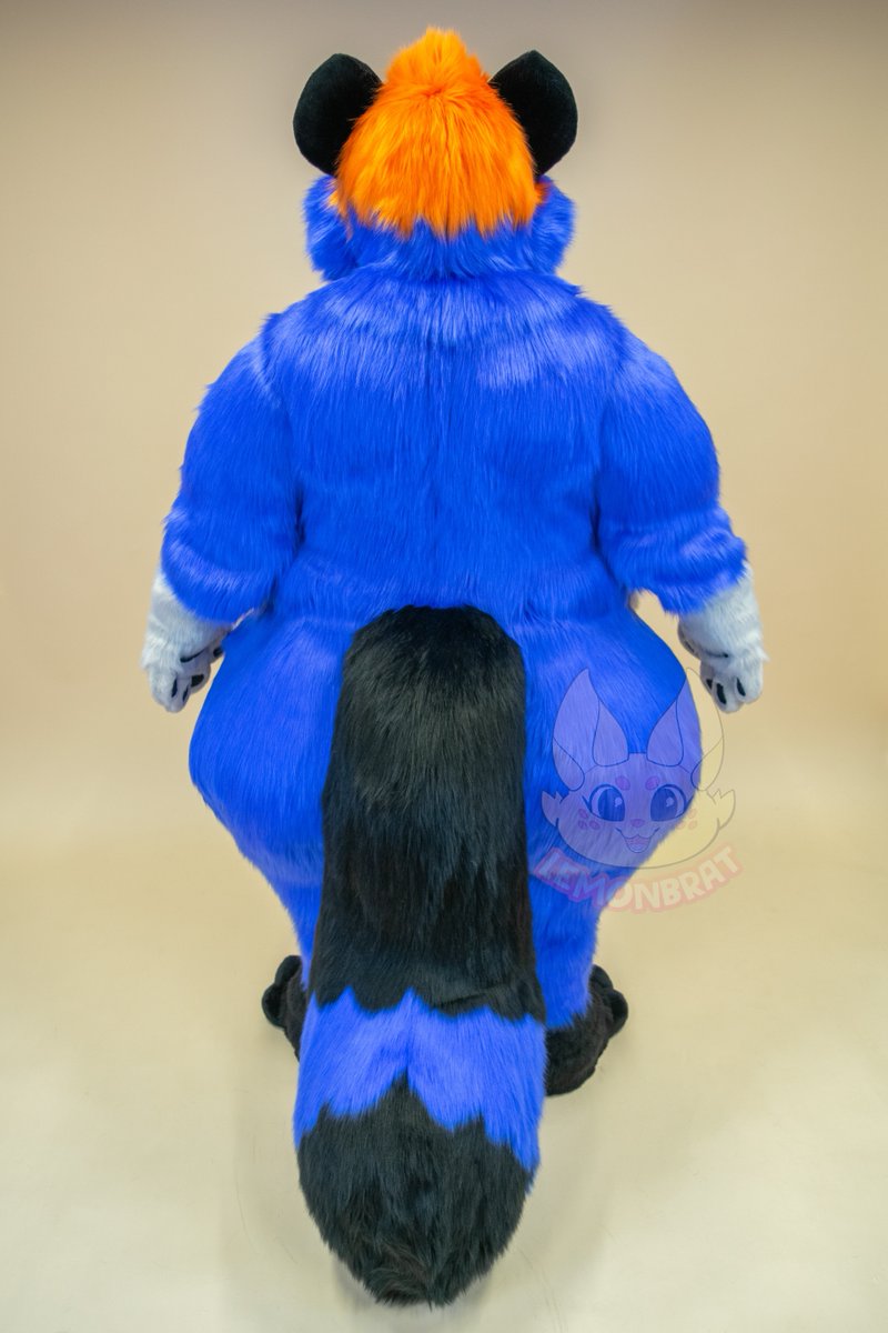 lemonbrat's tweet photo. Who needs a lovable big, round tanuki in their life? Introducing Ezra Toonuki. He was very fun to make for all his cuteness, squishability, and he had a cool vest custom built to accentuate his tummy. 
#tanukifursona #chubbyfursuit https://t.co/qxlxrBj0Zz