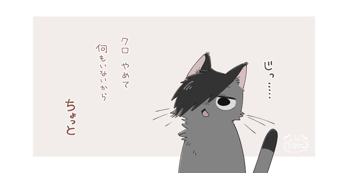 Takanishi_023's tweet photo. だいたい虫いる https://t.co/nQqfCYWoG4