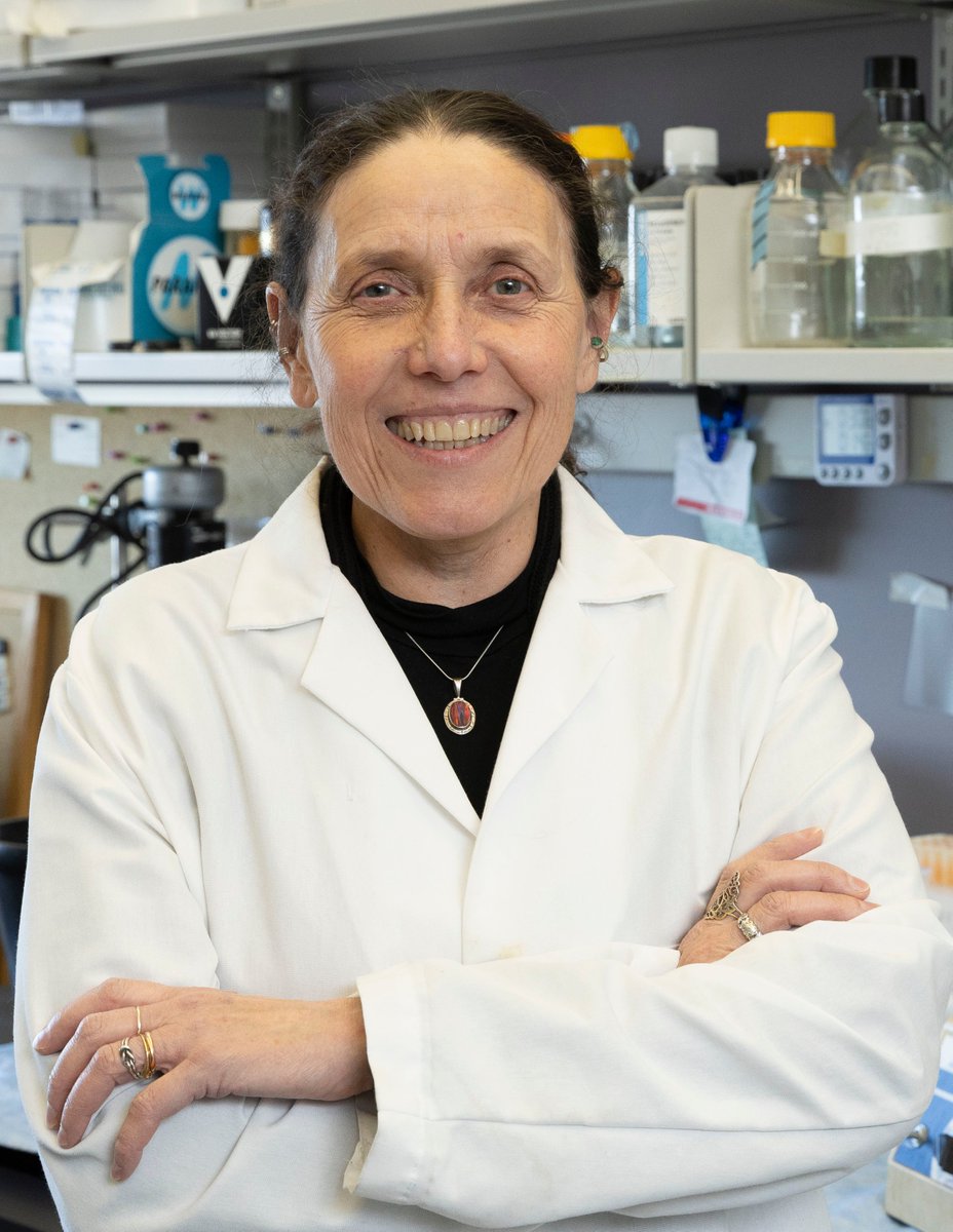 uiccom's tweet photo. Maria Irene Givogri, PhD, has been awarded $375,000 from the @Rosenau_Fdn for her work in treating Krabbe disease with Anakinra, an FDA-approved anti-inflammatory medication. Read more: https://t.co/RVDaji2YKz https://t.co/t0hvgANBeF