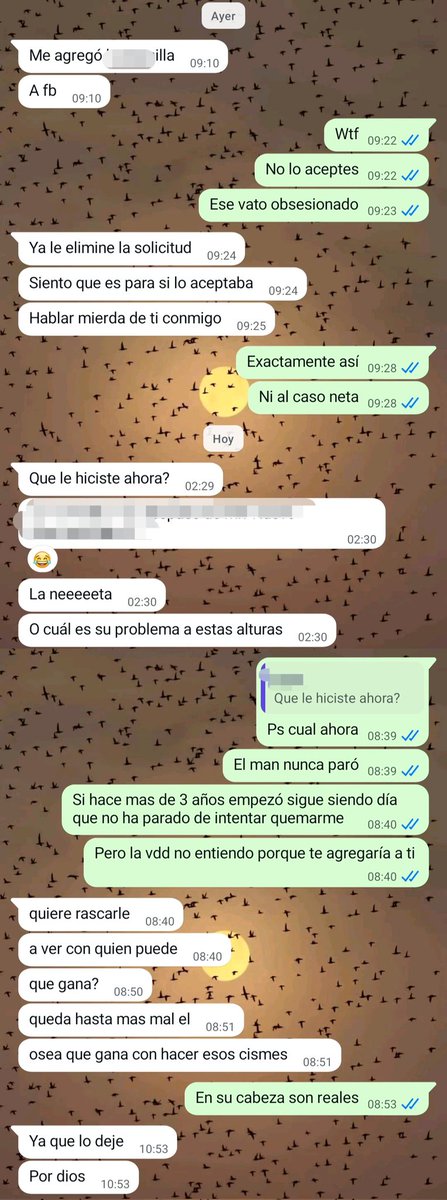 acolomof's tweet photo. ¿Qué haces agregando a mis exes? ¿Ahora qué quieres? ¿Qué buscas? ¿Qué más te falta inventar? ¿Cuanto tiempo tiene que pasar para que dejes de fregar el alma? Me terminaste hace 84 años, (+3) move on. https://t.co/6KmF5tN1pk