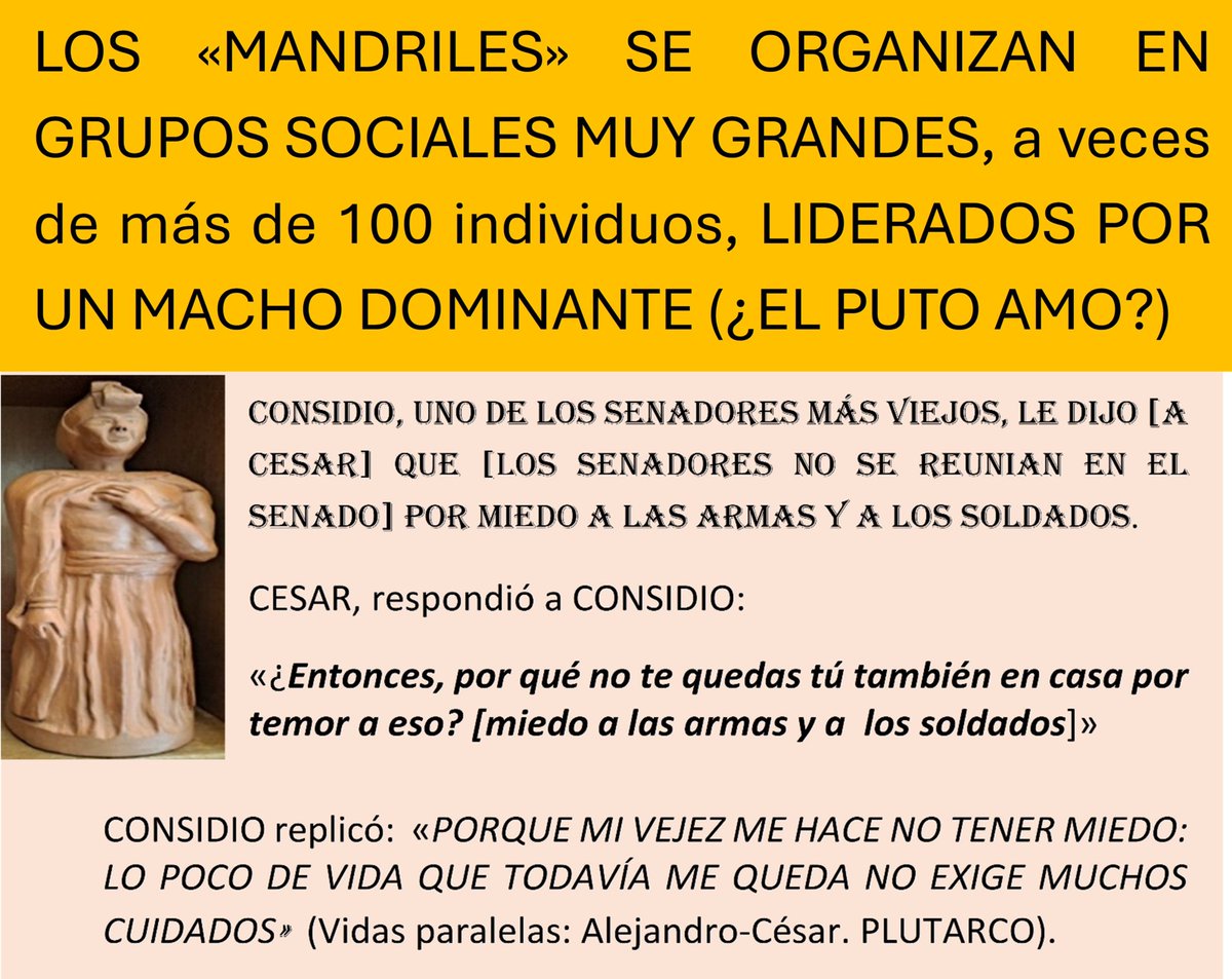 Principeduero's tweet photo. A  ver si los OSCAR MANDRILES, se enteran de que la C.E. (artículo 120) dispone: «Las actuaciones judiciales serán públicas». 
Por ello,  el CGPJ puede difundir a través de su Web el contenido de autos y sentencias. 
Y los interesados serán notificados personal e individualmente. https://t.co/BtA5M96pWs